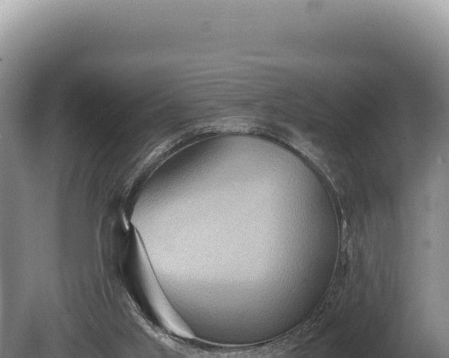 X0000080760013200612221422