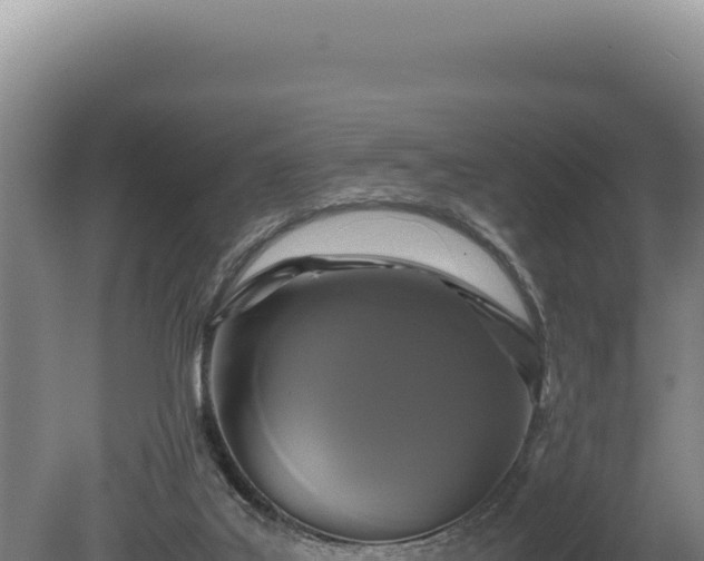X0000080760019200612221422