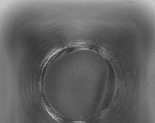 X0000080760050200612221421