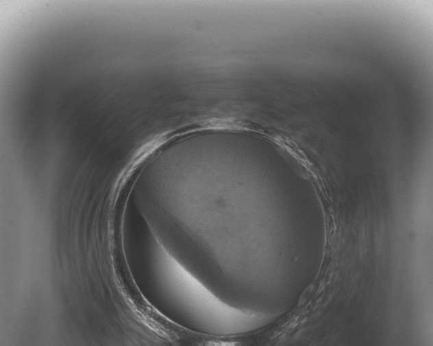 X0000080760055200612221421