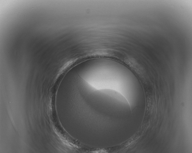 X0000080760112200612221421