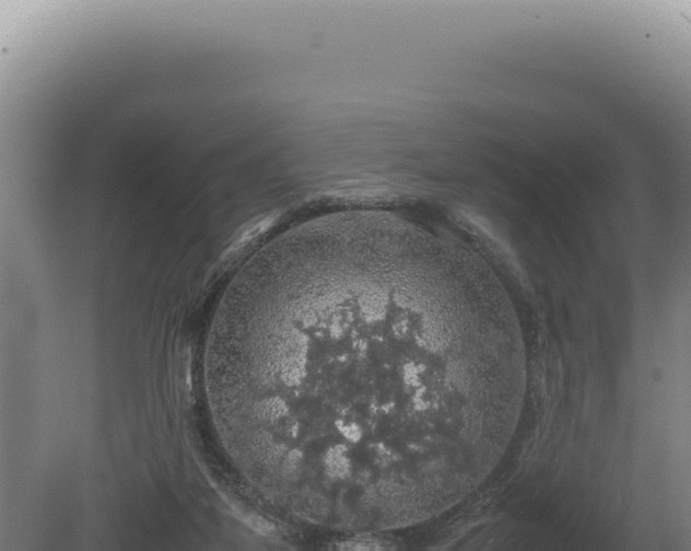 X0000080760115200612221420