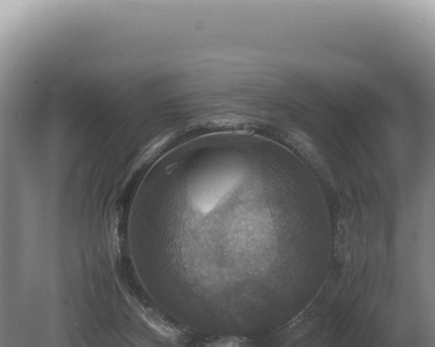 X0000080760116200612221420