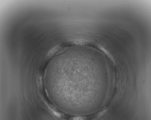 X0000080760117200612221420