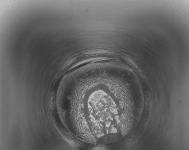 X0000080760119200612221420