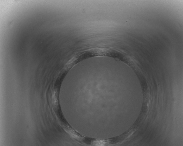 X0000080760131200612221420