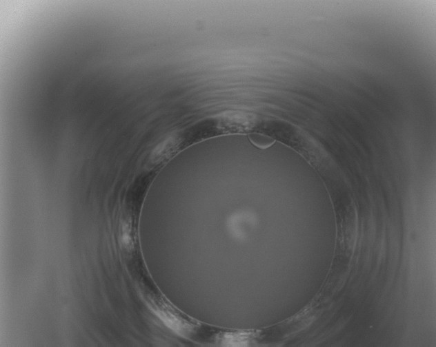 X0000080760134200612221420