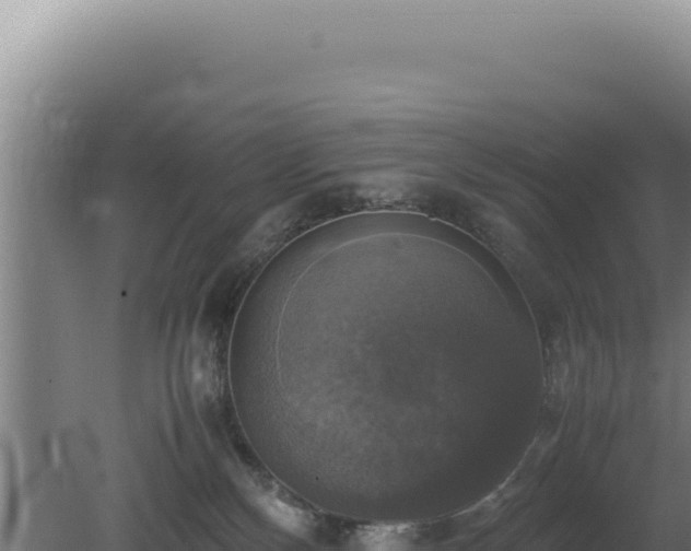 X0000080760136200612221420