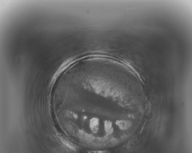 X0000080760151200612221419