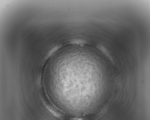 X0000080760159200612221419