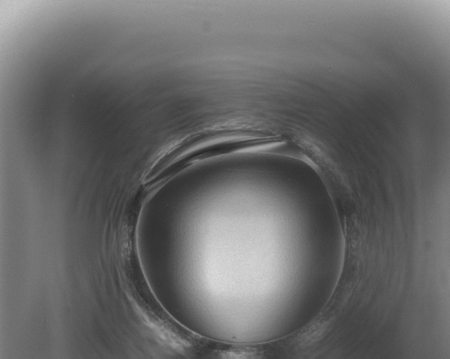 X0000080760164200612221420