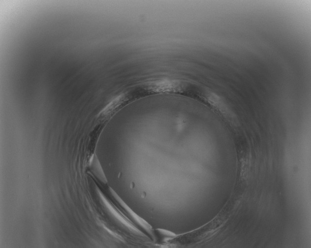 X0000080760165200612221420