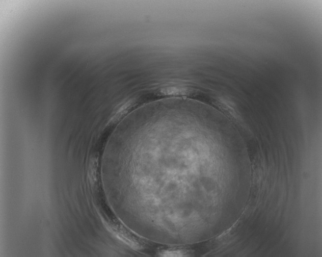 X0000080760171200612221420