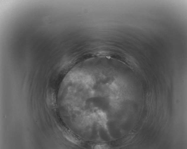 X0000080760173200612221420