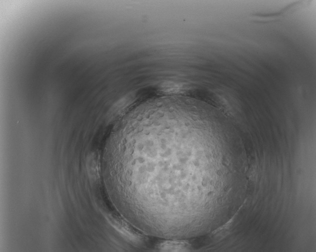 X0000080760179200612221420