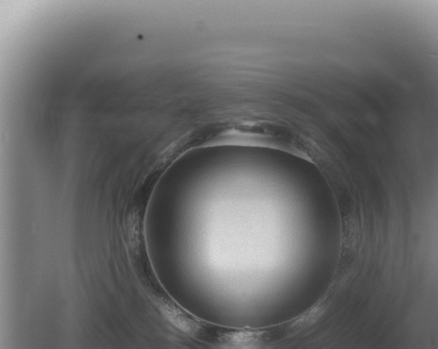 X0000080760184200612221420