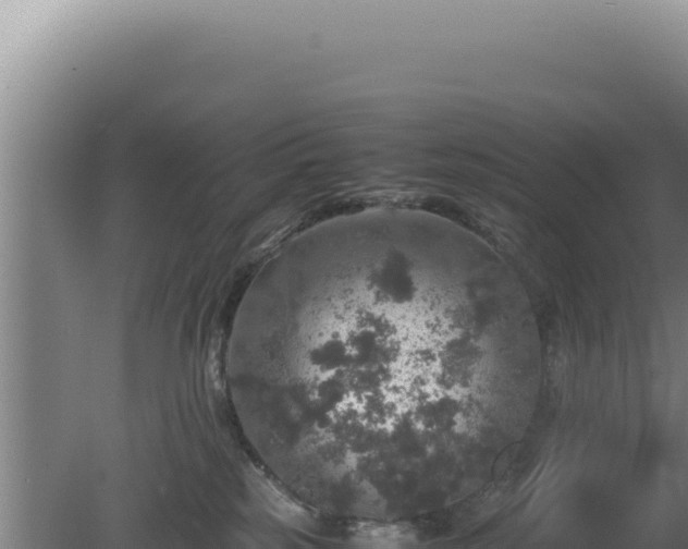 X0000080760185200612221420