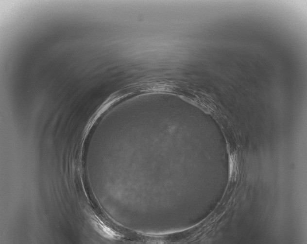 X0000080760195200612221419