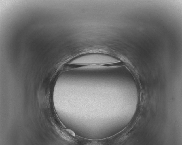 X0000080760201200612221419