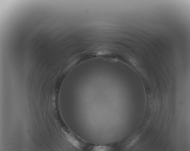 X0000080760269200612221418