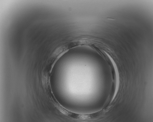 X0000080760333200612221417