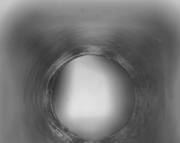 X0000080760338200612221416