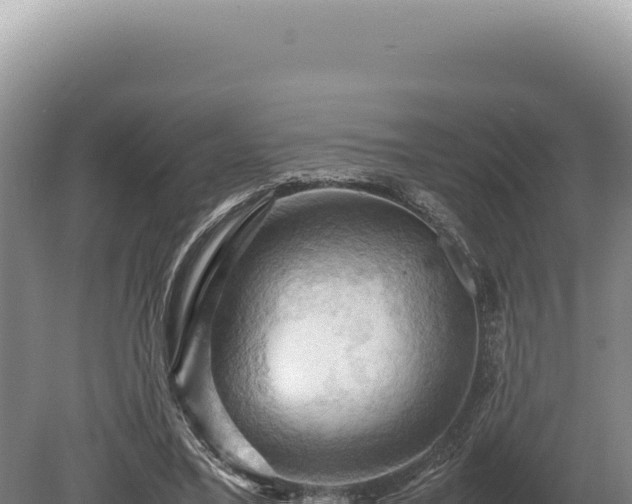 X0000080760395200612221416