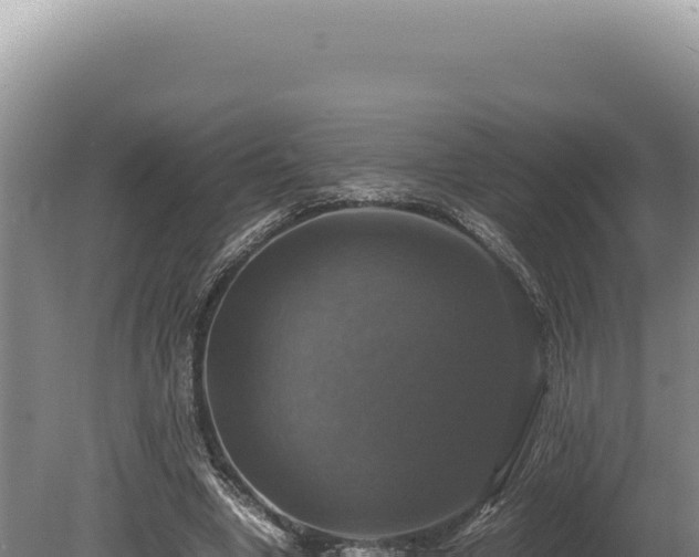 X0000080760442200612221414