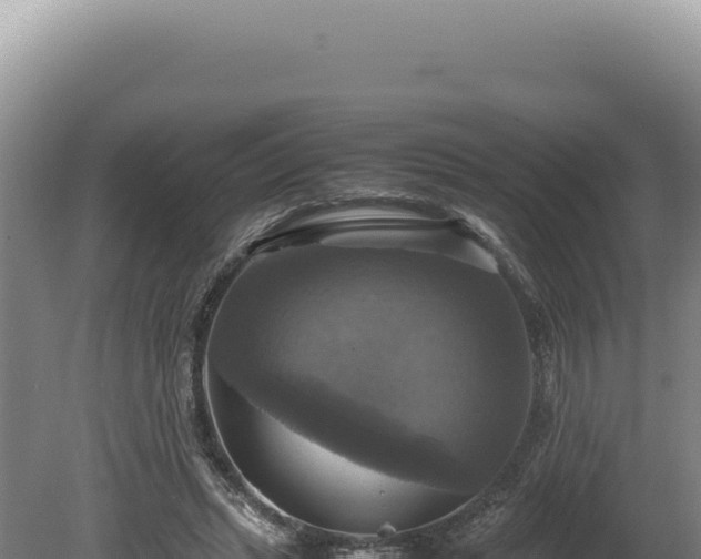 X0000080760447200612221415