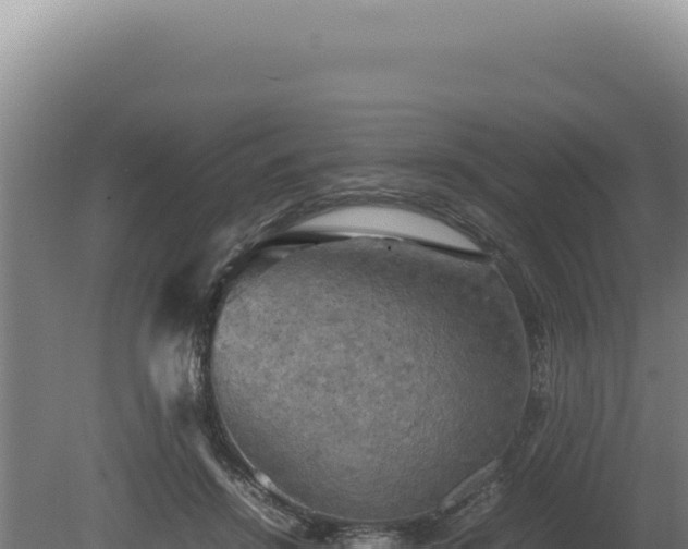 X0000080760456200612221415