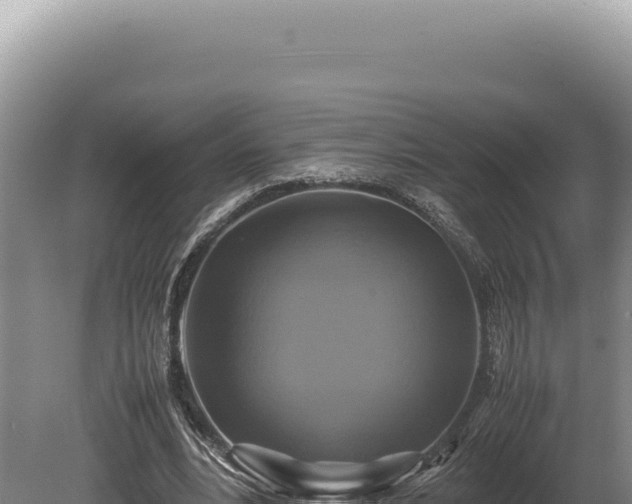 X0000080760488200612221414