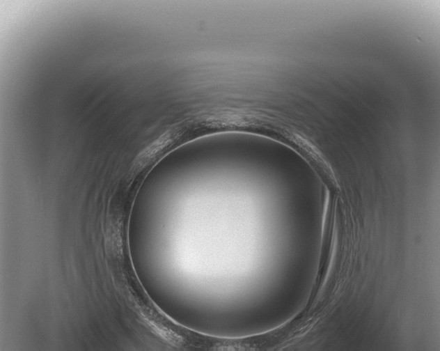 X0000080760489200612221414