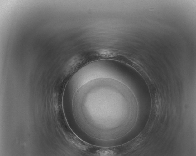 X0000080760512200612221414