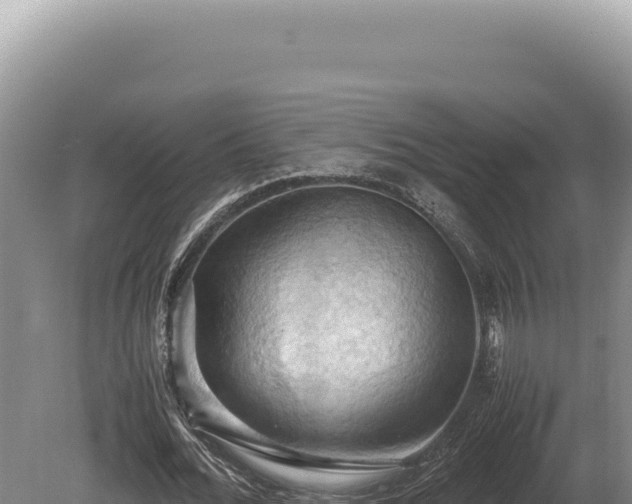 X0000080760676200612221411