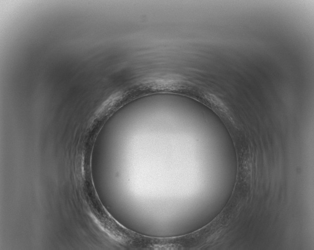 X0000080760686200612221411