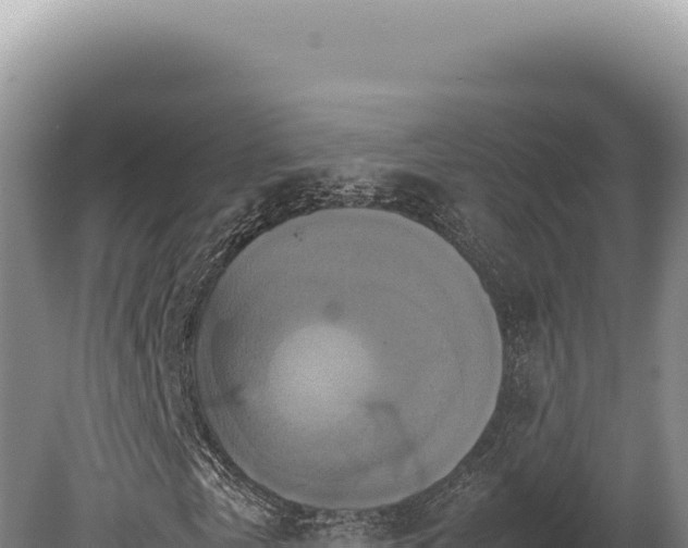 X0000080760769200612221409