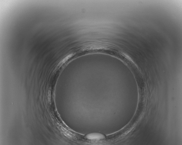 X0000080760777200612221409