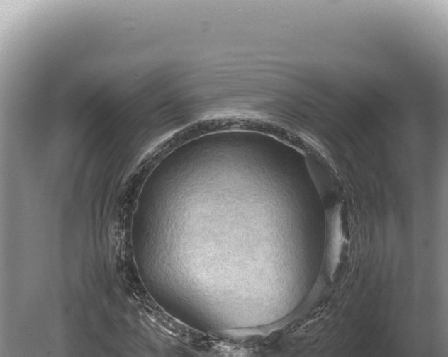 X0000080760872200612221408