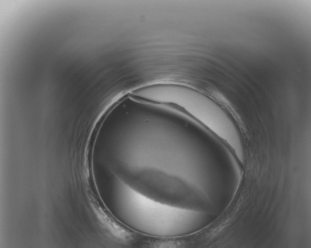 X0000080760892200612221407