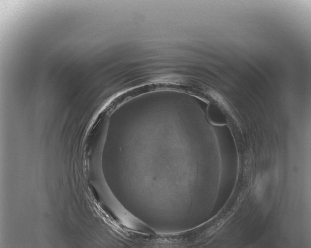 X0000080760923200612221406