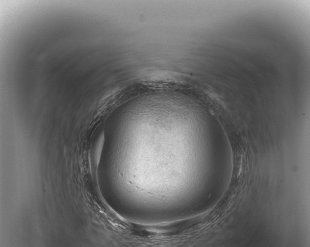 X0000080760965200612221406