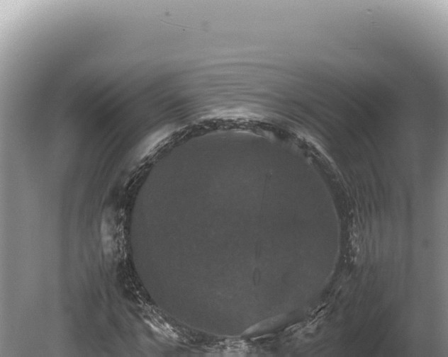 X0000080760968200612221406