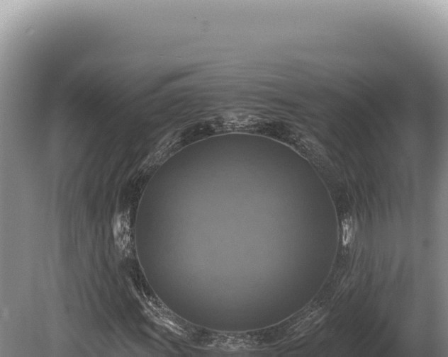 X0000080761011200612221405