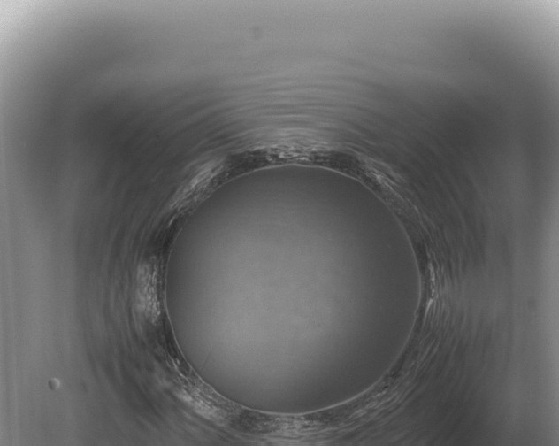 X0000080761060200612221405