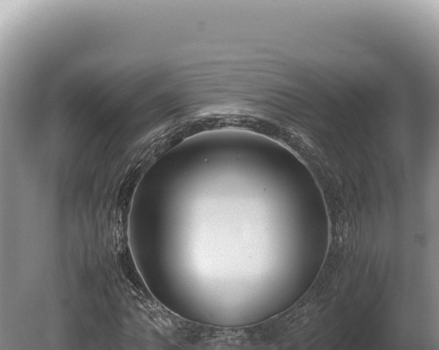 X0000080761062200612221404