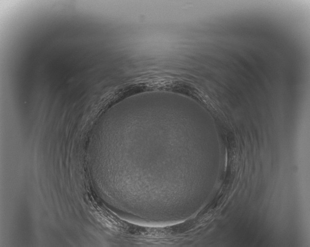 X0000080761153200612221403