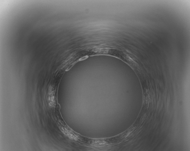 X0000080761154200612221403