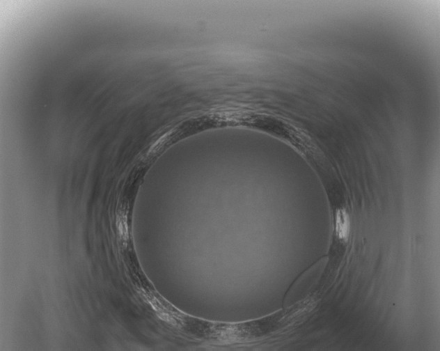 X0000080761155200612221403