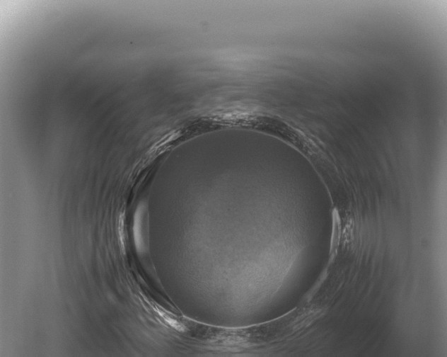 X0000080761156200612221403