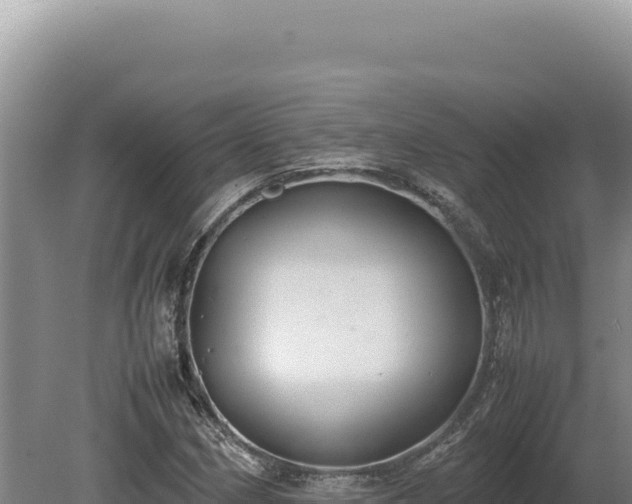 X0000080761162200612221403